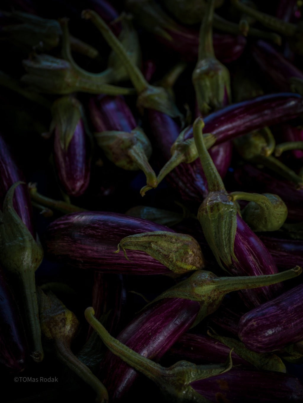 Kochbuch, Kochen, organic vegetable, Gemüse, Bio, TOMs FLOWer CLUB, Tomas Rodak, photography, Landhaus, country side, leaf photography, Blattfoto, Kitchen design, pictures for kitchen, Küchen, Küche, green, Farmers market