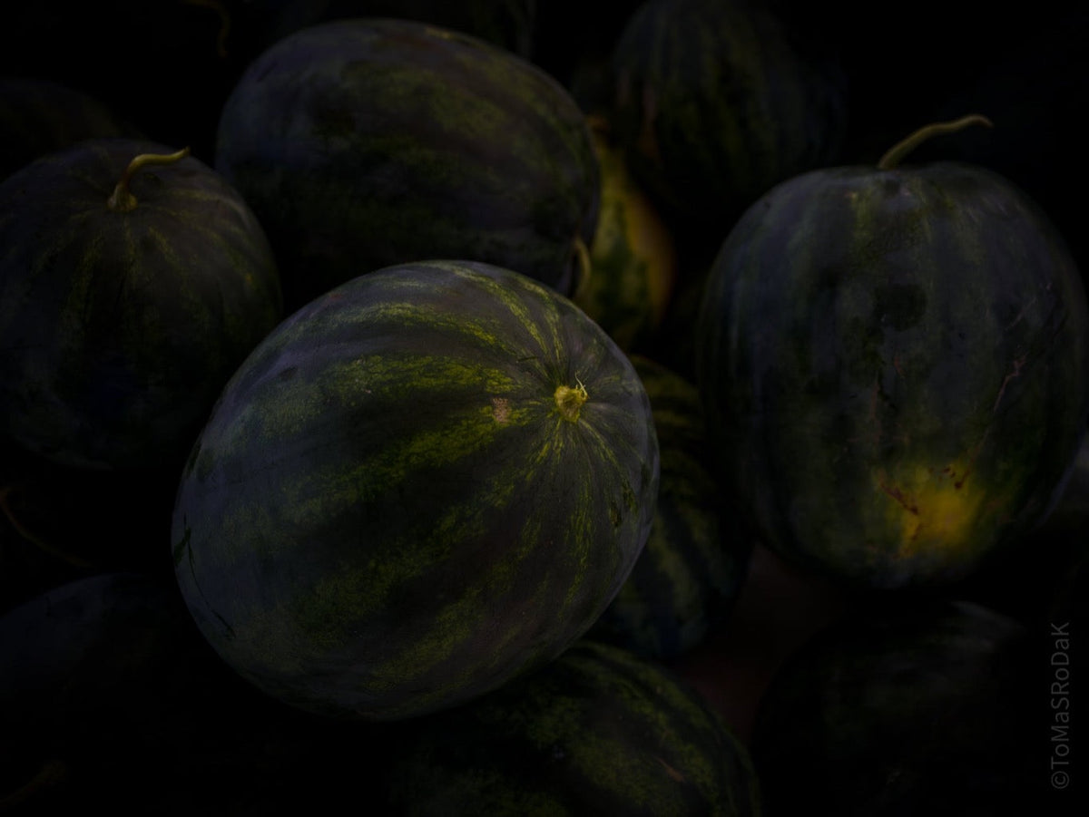 Kochbuch, Kochen, organic vegetable, Gemüse, Bio, TOMs FLOWer CLUB, Tomas Rodak, photography, Landhaus, country side, Wassermelone Foto, water melon picture, Kitchen design, pictures for kitchen, Küchen, Küche, green, Harry Styles
