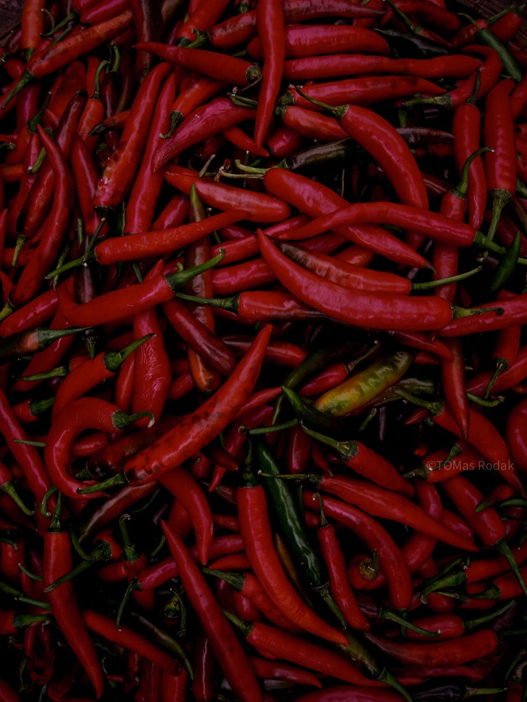 Kochbuch, Kochen, organic vegetable, Gemüse, Bio, TOMs FLOWer CLUB, Tomas Rodak, photography, Landhaus, country side, leaf photography, Blattfoto, Kitchen design, pictures for kitchen, Küchen, Küche, Farmers market, Chilli, red pepper, red lover, rot, scharf, Mexico
