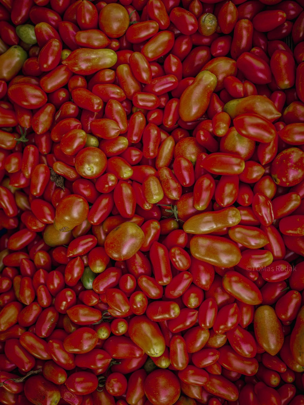 Kochbuch, Kochen, organic vegetable, Gemüse, Bio, TOMs FLOWer CLUB, Tomas Rodak, photography, Landhaus, country side, leaf photography, Blattfoto, Kitchen design, pictures for kitchen, Küchen, Küche, Farmers market, Chilli, red tomato, paradajky, Spain, Tomaten, rote Tomaten, red lover, rot, scharf, Mexico