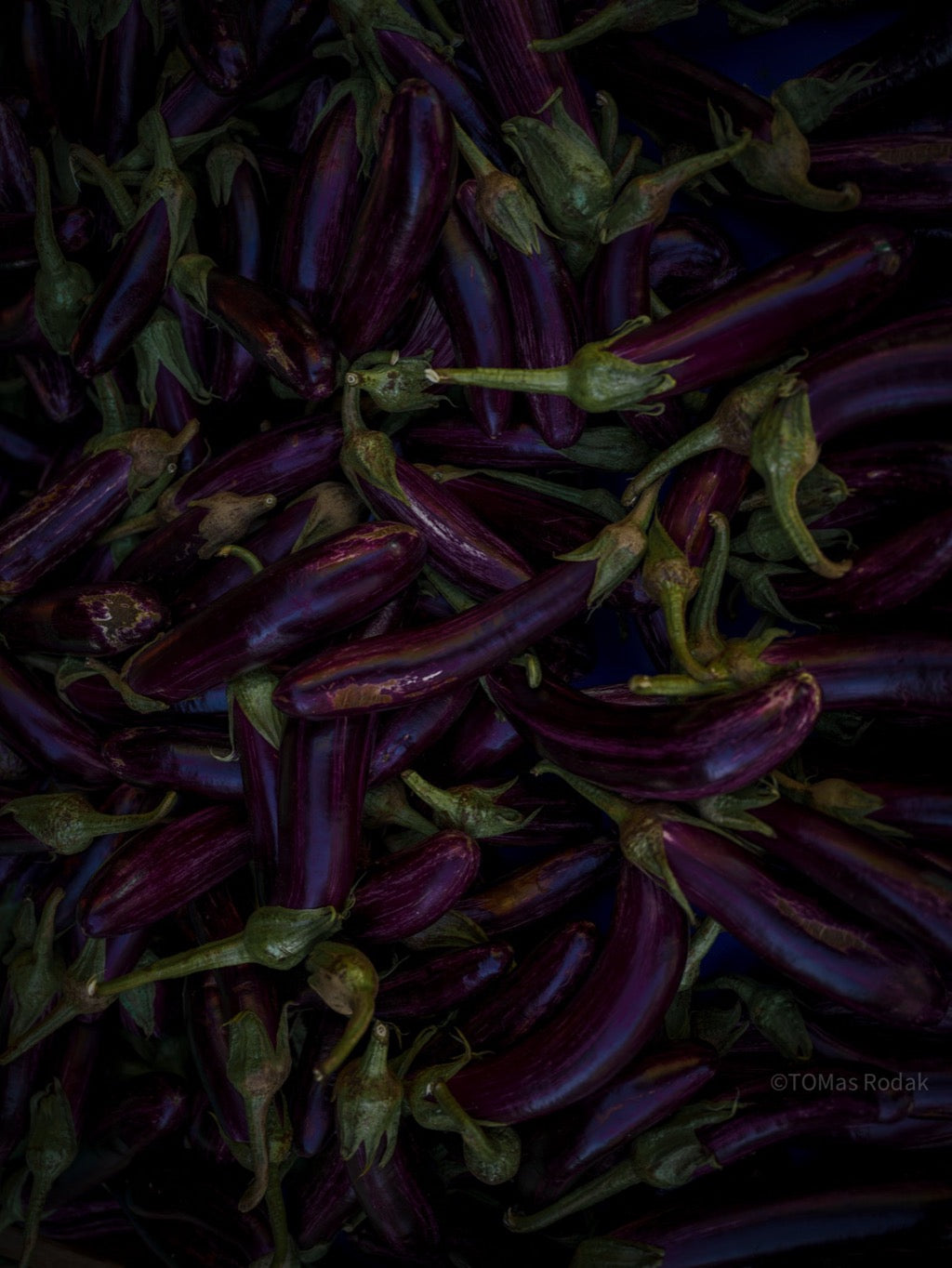 Kochbuch, Kochen, organic vegetable, Gemüse, Bio, TOMs FLOWer CLUB, Tomas Rodak, photography, Landhaus, country side, leaf photography, Blattfoto, Kitchen design, pictures for kitchen, Küchen, Küche, Farmers market, burgundy