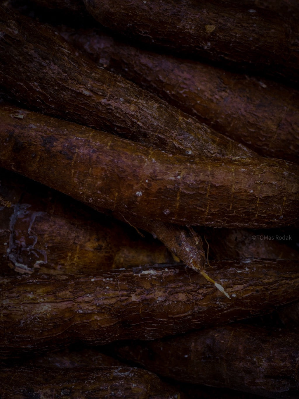 TOMAS RODAK, TOMs FLOWer CLUB, Kochbuch, Kochen, organic vegetable, Gemüse, Bio, TOMs FLOWer CLUB, Tomas Rodak, photography, Landhaus, country side, leaf photography, Blattfoto, Kitchen design, pictures for kitchen, Küchen, Küche, Farmers market, green still life