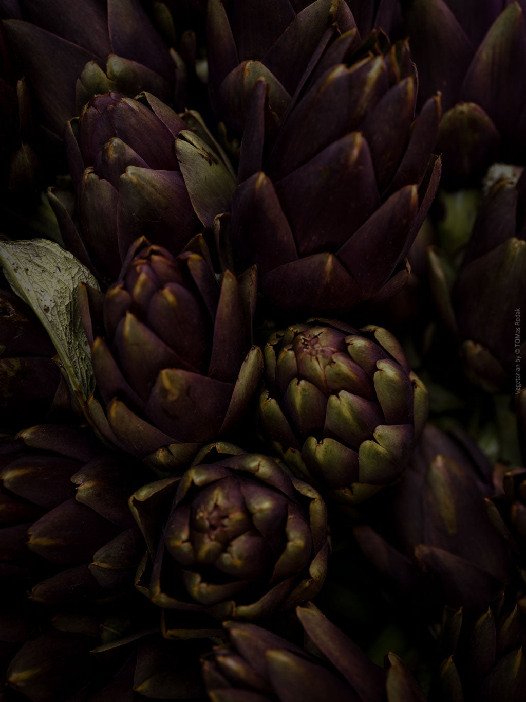 TOMAS RODAK, TOMs FLOWer CLUB, Kochbuch, Kochen, organic vegetable, Gemüse, Bio, TOMs FLOWer CLUB, Tomas Rodak, photography, Landhaus, country side, leaf photography, Blattfoto, Kitchen design, pictures for kitchen, Küchen, Küche, Farmers market, green still life