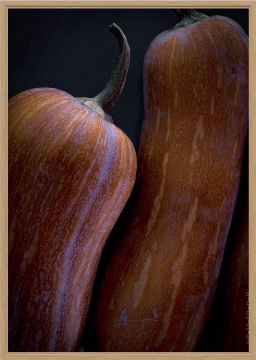 Kochbuch, Kochen, organic vegetable, Gemüse, Bio, TOMs FLOWer CLUB, Tomas Rodak, photography, Landhaus, country side, Kürbis Foto, Pumpkin picture, Kitchen design, pictures for kitchen, Küchen, Küche, Orange,