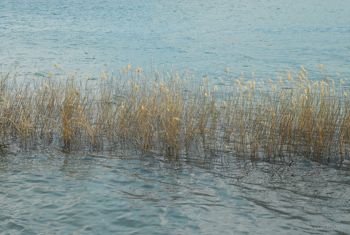 Reflection, meditation, work life balance, TOMs FLOWer CLUB, Tomas Rodak, photography, horizon, water photography, Water, Wasser, Meditation, Wolken, Clouds, Wasserrauschen, blue, blau, Mallorca, La reunion, sea, Schwimmen, blaue Lagune