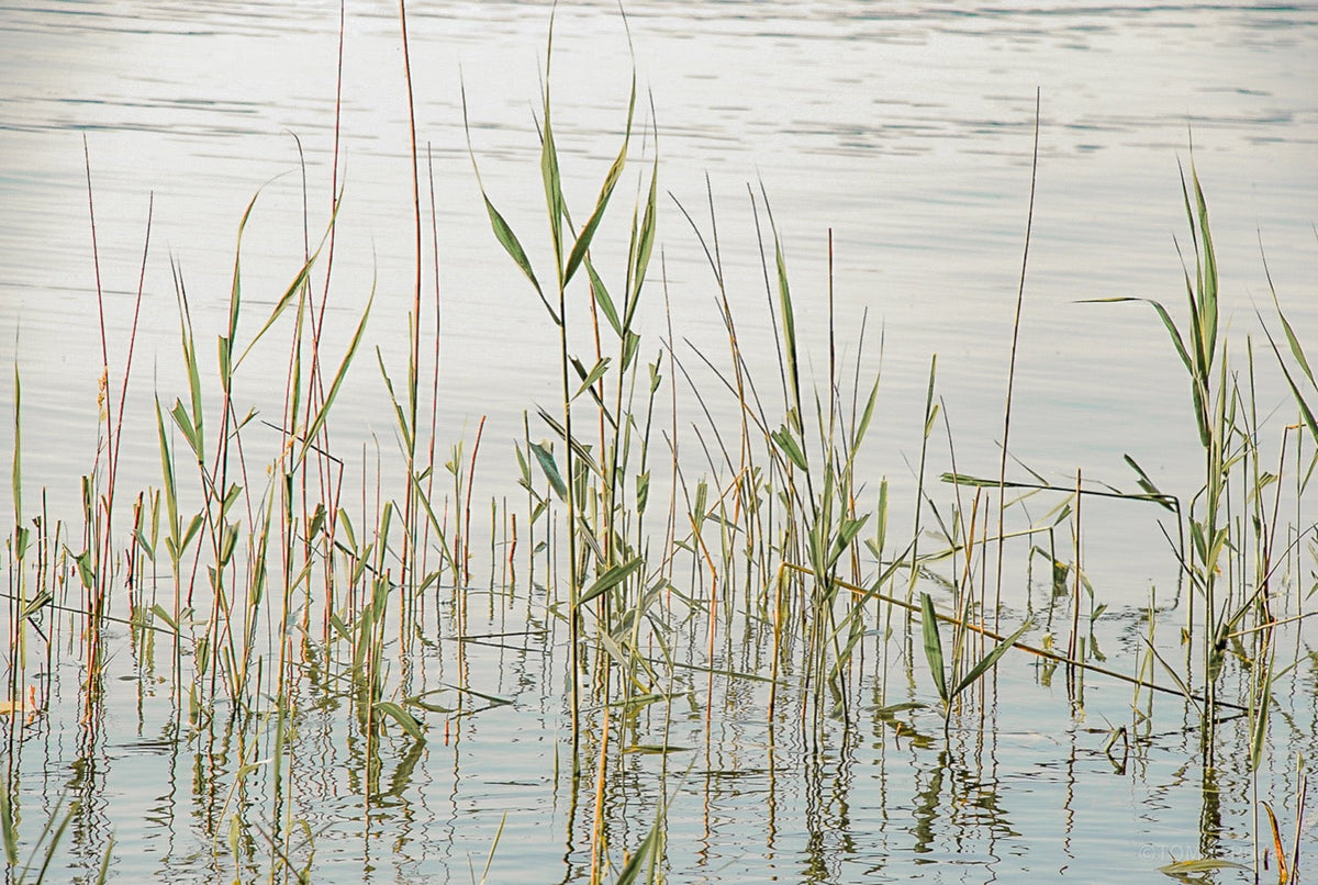 Reflection, meditation, work life balance, TOMs FLOWer CLUB, Tomas Rodak, photography, horizon, water photography, Water, Wasser, Meditation, Wolken, Clouds, Wasserrauschen, blue, blau, Mallorca, La reunion, sea, Schwimmen, blaue Lagune