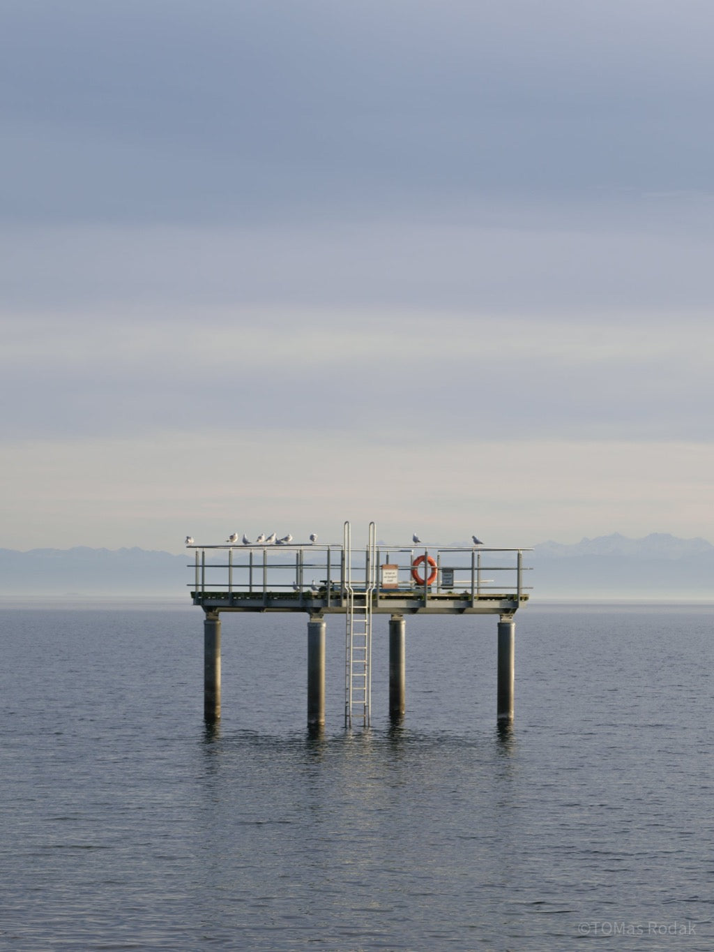 Reflection, meditation, work life balance, TOMs FLOWer CLUB, Tomas Rodak, photography, horizon, water photography, Water, Wasser, Meditation, Wolken, Clouds, Wasserrauschen, blue, blau, Mallorca, La reunion, sea, Schwimmen, blaue Lagune, Alpen, Alps, Bergsee, Bodensee, Lake of Constance, Mainau