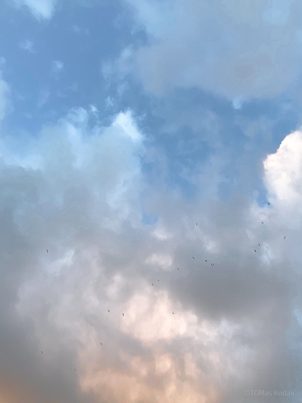 Reflection, meditation, work life balance, TOMs FLOWer CLUB, Tomas Rodak, photography, horizon, water photography, Water, Wasser, Meditation, Wolken, Clouds, Wasserrauschen, blue, blau, Mallorca, La reunion, sea, Schwimmen, blaue Lagune, Alpen, Alps, Bergsee, Bodensee, Lake of Constance, Mainau, blue sky, Himmel,