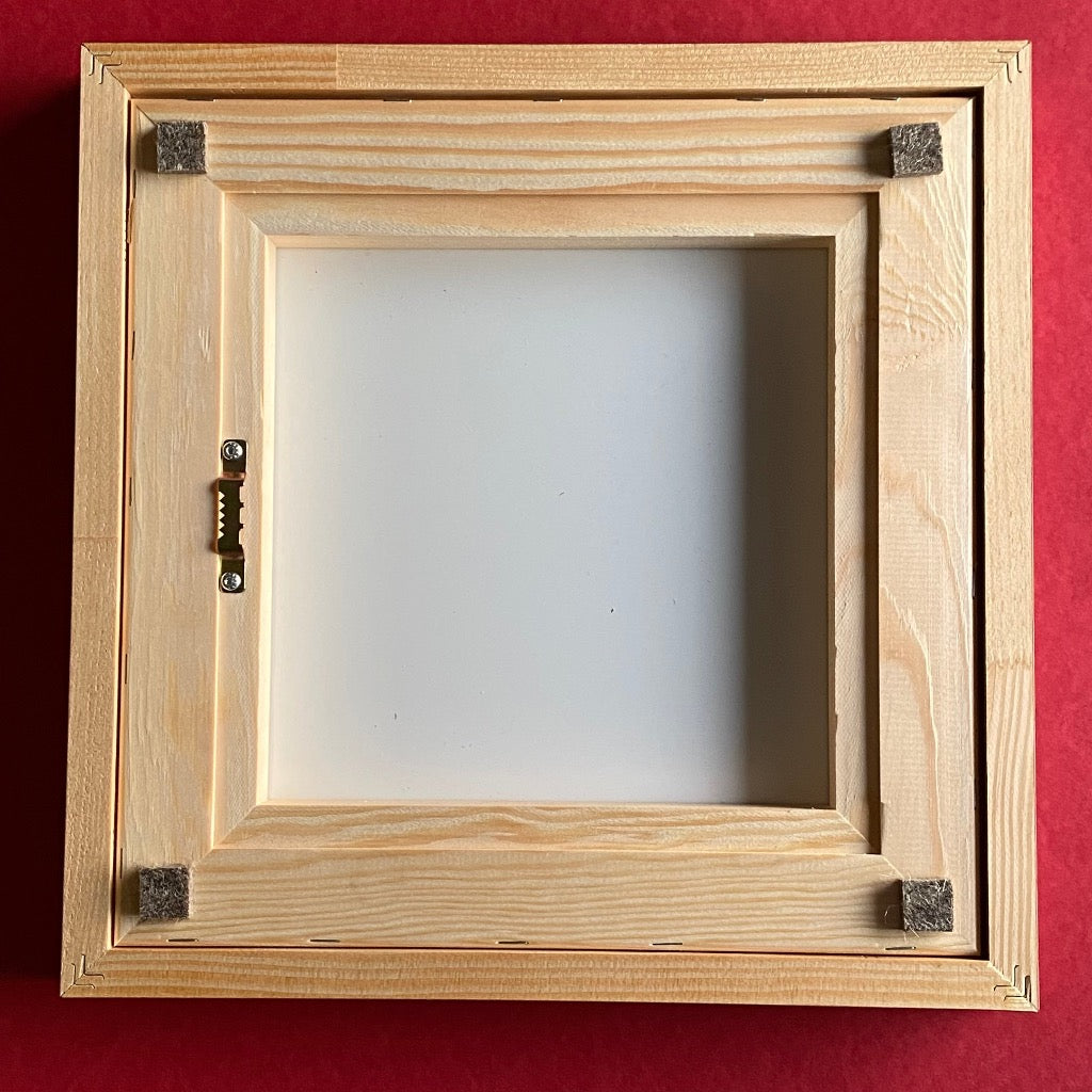 Photo Picture Tulip by Tomas Rodak, 25 x 25cm, framed, for sale at TOMs FLOWer CLUB.