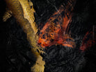 Nishikigoi Koi Fish Photography by Tomas Rodak - Available for Sale at TOMs FLOWer CLUB - Fine Art Prints and Photos of Colorful Koi Fish