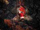 Nishikigoi Koi Fish Photography by Tomas Rodak - Available for Sale at TOMs FLOWer CLUB - Fine Art Prints and Photos of Colorful Koi Fish