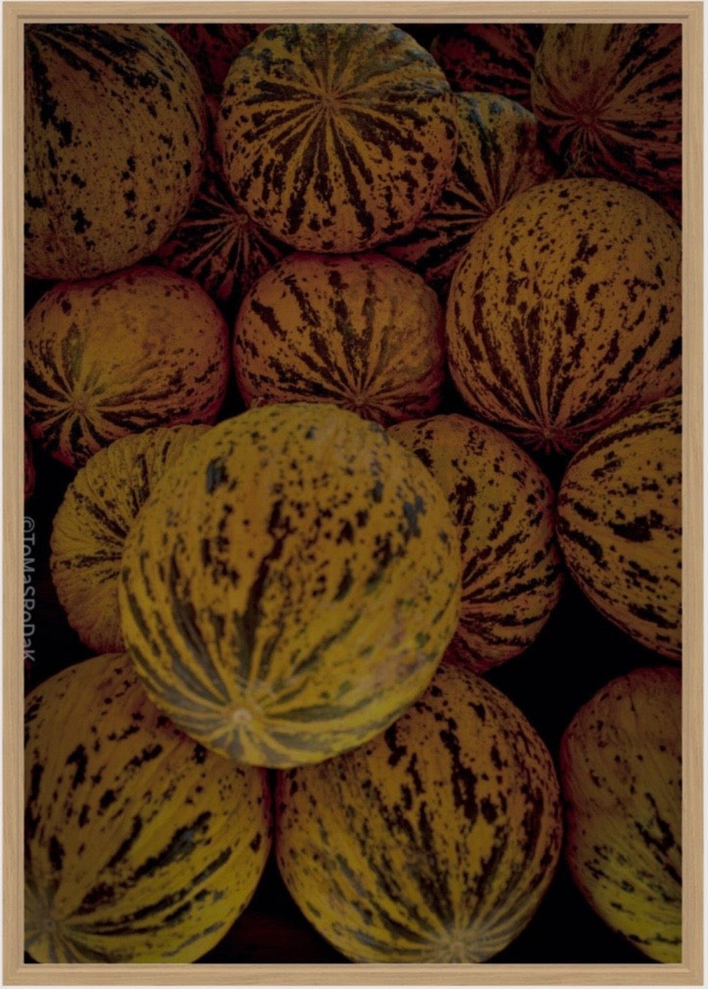 Kochbuch, Kochen, organic vegetable, Gemüse, Bio, TOMs FLOWer CLUB, Tomas Rodak, photography, Landhaus, country side, Zuckermelone Foto, sugar melon picture, Kitchen design, pictures for kitchen, Küchen, Küche, green, Harry Styles