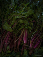Kochbuch, Kochen, organic vegetable, Gemüse, Bio, TOMs FLOWer CLUB, Tomas Rodak, photography, Landhaus, country side, leaf photography, Blattfoto, Kitchen design, pictures for kitchen, Küchen, Küche, green, Farmers market, Salat