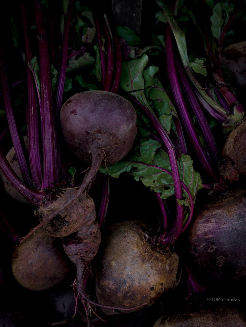 Kochbuch, Kochen, organic vegetable, Gemüse, Bio, TOMs FLOWer CLUB, Tomas Rodak, photography, Landhaus, country side, leaf photography, Blattfoto, Kitchen design, pictures for kitchen, Küchen, Küche, green, Farmers market, Salat, Sanden, rote Beete, 
