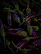 Kochbuch, Kochen, organic vegetable, Gemüse, Bio, TOMs FLOWer CLUB, Tomas Rodak, photography, Landhaus, country side, leaf photography, Blattfoto, Kitchen design, pictures for kitchen, Küchen, Küche, green, Farmers market