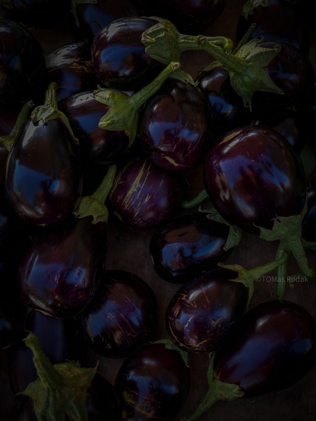 Kochbuch, Kochen, organic vegetable, Gemüse, Bio, TOMs FLOWer CLUB, Tomas Rodak, photography, Landhaus, country side, leaf photography, Blattfoto, Kitchen design, pictures for kitchen, Küchen, Küche, green, Farmers market