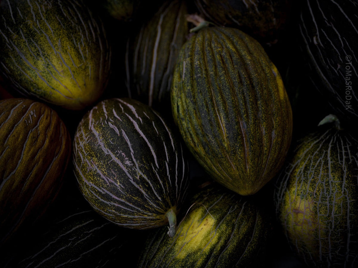 Kochbuch, Kochen, organic vegetable, Gemüse, Bio, TOMs FLOWer CLUB, Tomas Rodak, photography, Landhaus, country side, Zuckermelone Foto, sugar melon picture, Kitchen design, pictures for kitchen, Küchen, Küche, green, Harry Styles