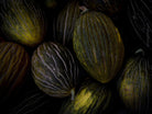 Kochbuch, Kochen, organic vegetable, Gemüse, Bio, TOMs FLOWer CLUB, Tomas Rodak, photography, Landhaus, country side, Zuckermelone Foto, sugar melon picture, Kitchen design, pictures for kitchen, Küchen, Küche, green, Harry Styles