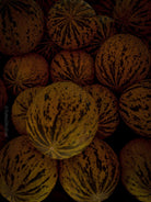 Kochbuch, Kochen, organic vegetable, Gemüse, Bio, TOMs FLOWer CLUB, Tomas Rodak, photography, Landhaus, country side, Zuckermelone Foto, sugar melon picture, Kitchen design, pictures for kitchen, Küchen, Küche, green, Harry Styles