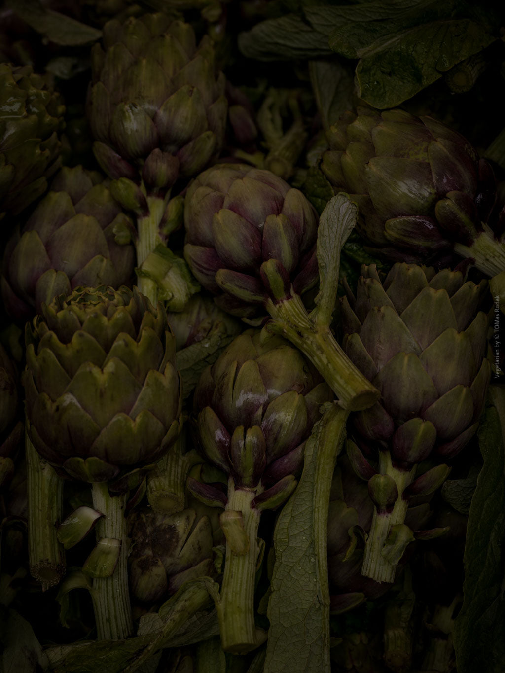 TOMAS RODAK, TOMs FLOWer CLUB, Kochbuch, Kochen, organic vegetable, Gemüse, Bio, TOMs FLOWer CLUB, Tomas Rodak, photography, Landhaus, country side, leaf photography, Blattfoto, Kitchen design, pictures for kitchen, Küchen, Küche, Farmers market, green still life