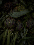 TOMAS RODAK, TOMs FLOWer CLUB, Kochbuch, Kochen, organic vegetable, Gemüse, Bio, TOMs FLOWer CLUB, Tomas Rodak, photography, Landhaus, country side, leaf photography, Blattfoto, Kitchen design, pictures for kitchen, Küchen, Küche, Farmers market, green still life