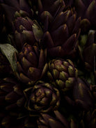 TOMAS RODAK, TOMs FLOWer CLUB, Kochbuch, Kochen, organic vegetable, Gemüse, Bio, TOMs FLOWer CLUB, Tomas Rodak, photography, Landhaus, country side, leaf photography, Blattfoto, Kitchen design, pictures for kitchen, Küchen, Küche, Farmers market, green still life