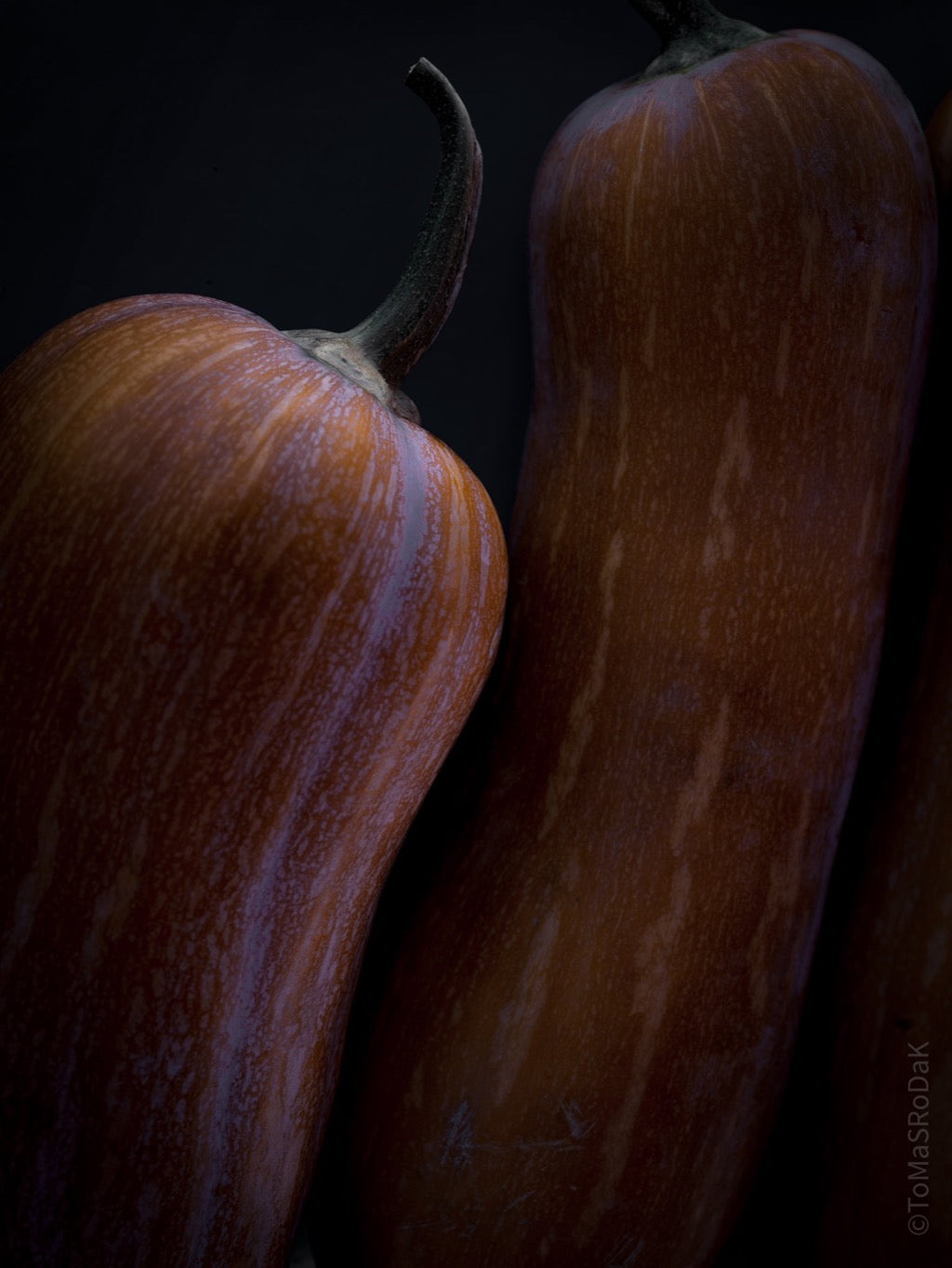 Kochbuch, Kochen, organic vegetable, Gemüse, Bio, TOMs FLOWer CLUB, Tomas Rodak,  photography, Landhaus, country side, Kürbis Foto, Pumpkin picture, Kitchen design, pictures for kitchen, Küchen, Küche, Orange, 