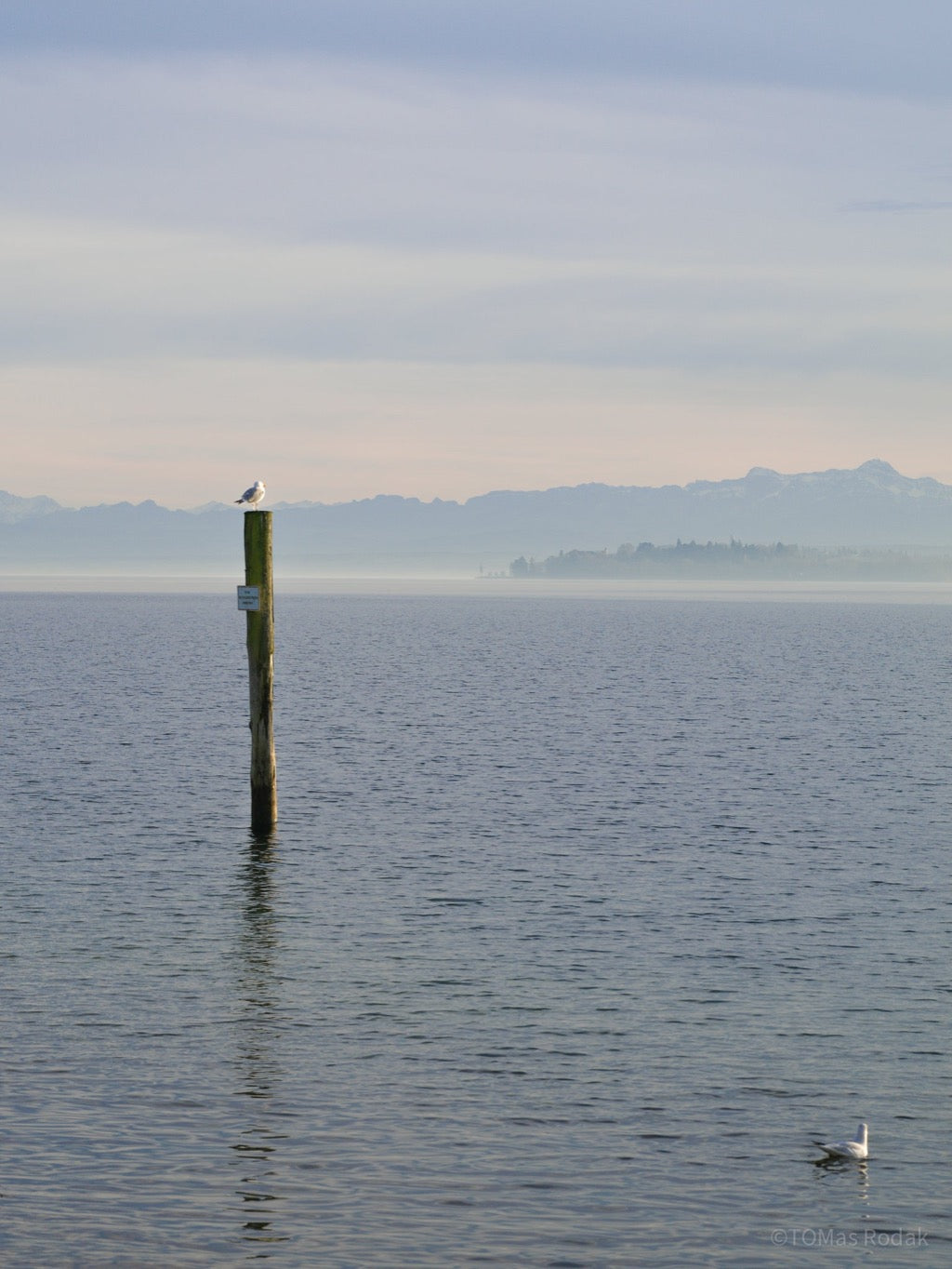 Reflection, meditation, work life balance, TOMs FLOWer CLUB, Tomas Rodak, photography, horizon, water photography, Water, Wasser, Meditation, Wolken, Clouds, Wasserrauschen, blue, blau, Mallorca, La reunion, sea, Schwimmen, blaue Lagune, Alpen, Alps, Bergsee, Bodensee, Lake of Constance, Mainau