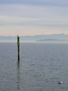 Reflection, meditation, work life balance, TOMs FLOWer CLUB, Tomas Rodak, photography, horizon, water photography, Water, Wasser, Meditation, Wolken, Clouds, Wasserrauschen, blue, blau, Mallorca, La reunion, sea, Schwimmen, blaue Lagune, Alpen, Alps, Bergsee, Bodensee, Lake of Constance, Mainau